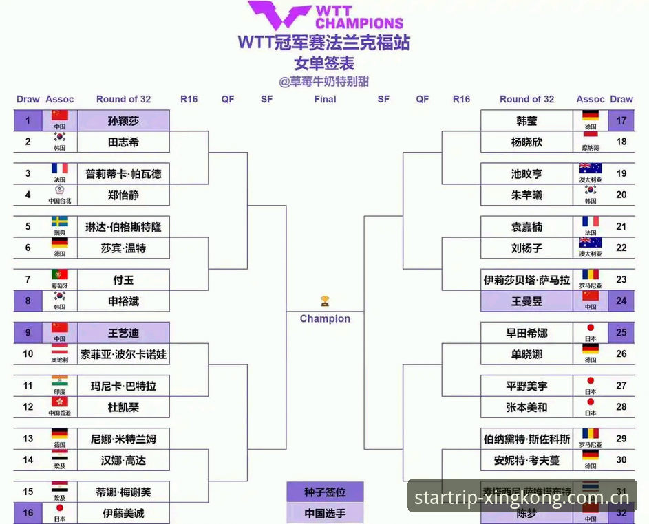 8号种子首夺大满贯——法网女单决赛深度分析